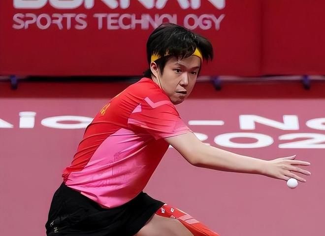 WTT中国大满贯赛事 王皓被球迷辱骂事件 乒乓球教练遭遇网络暴力_乒乓球大满贯王皓